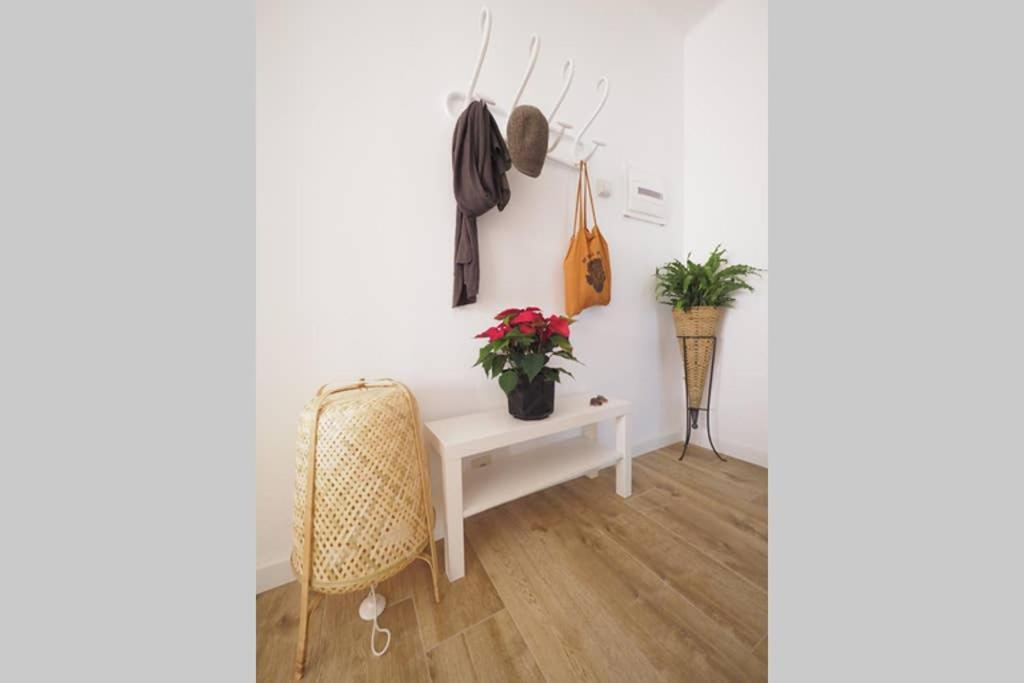 Apartaments Sa Calm Sant Miquel De Les Formigues Sant Hilari Sacalm Kültér fotó